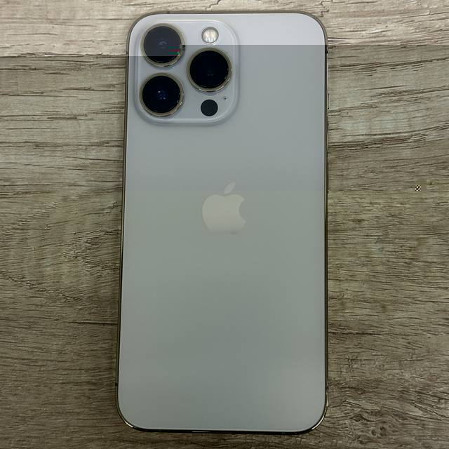 'iPhone13 Pro'