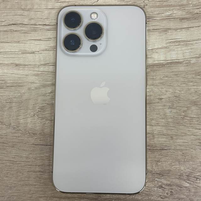'iPhone13 Pro'