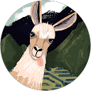 やち profile picture